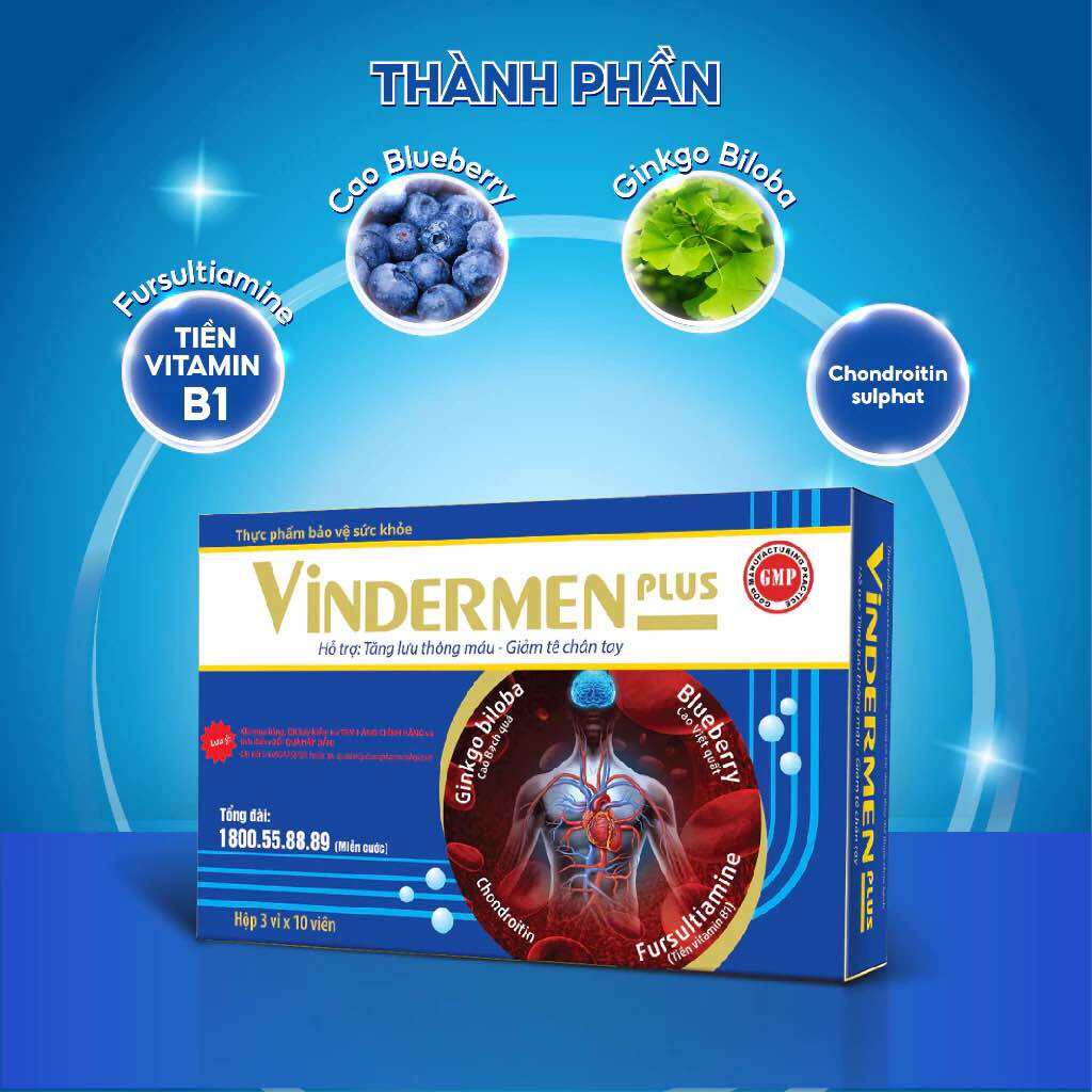 Viên uống VINDERMEN PLUS VINH GIA (Hộp 30 viên) Giúp tăng cường lưu thông máu và bảo vệ thần kinh