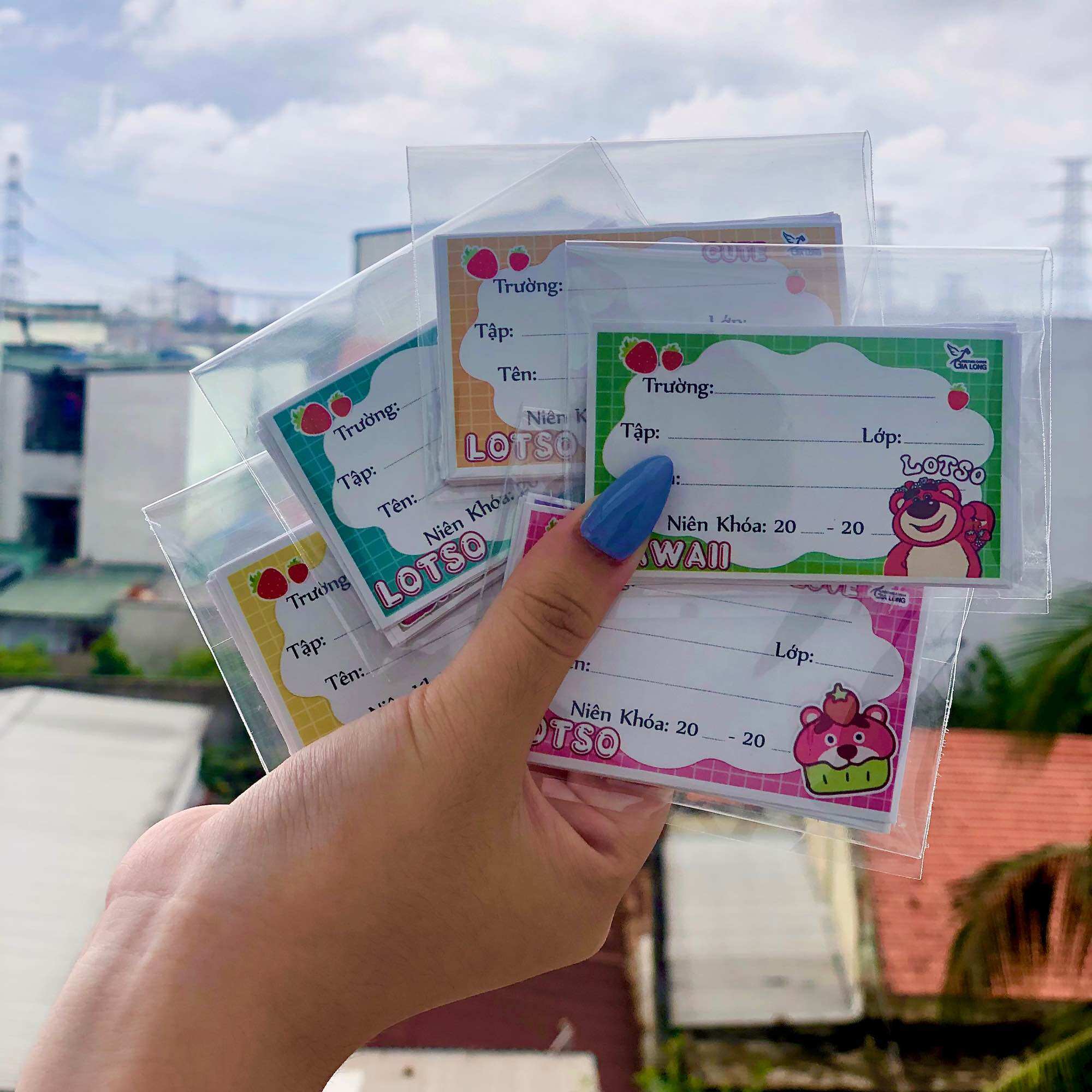 SET 16C NHÃN VỞ GẤU DÂU LOTSO