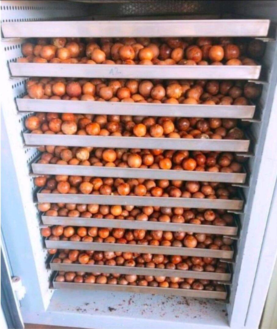 HẠT MACCA ĐĂK LĂK LOẠI 1(MẮC CA SẤY CHÍN) 500GR