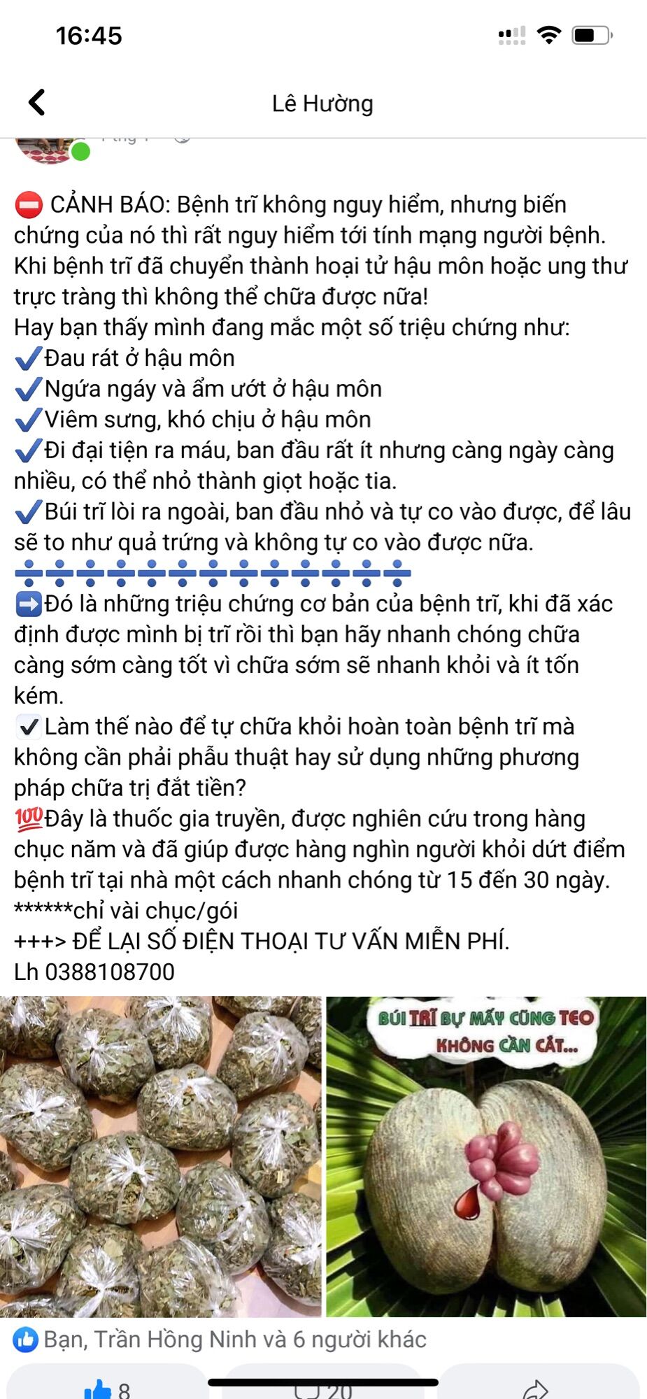 Lá trĩ gia truyền
