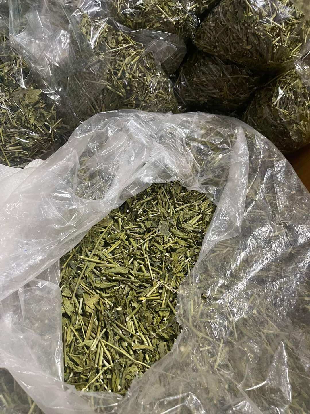 55k/1kg cây xương khỉ  dược liệu tốt cho gan