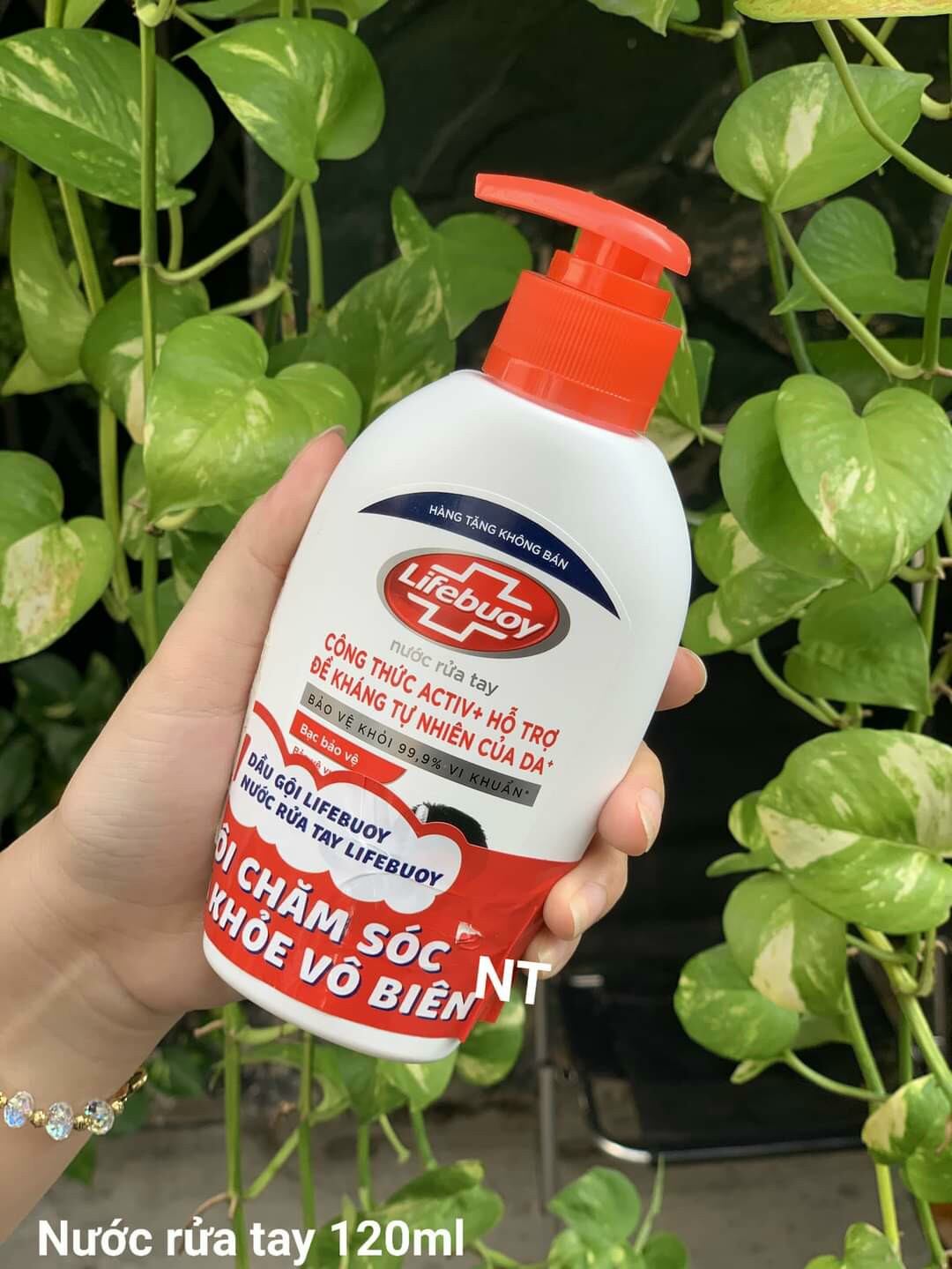 nước rửa tay lifebuoy diệt khuẩn