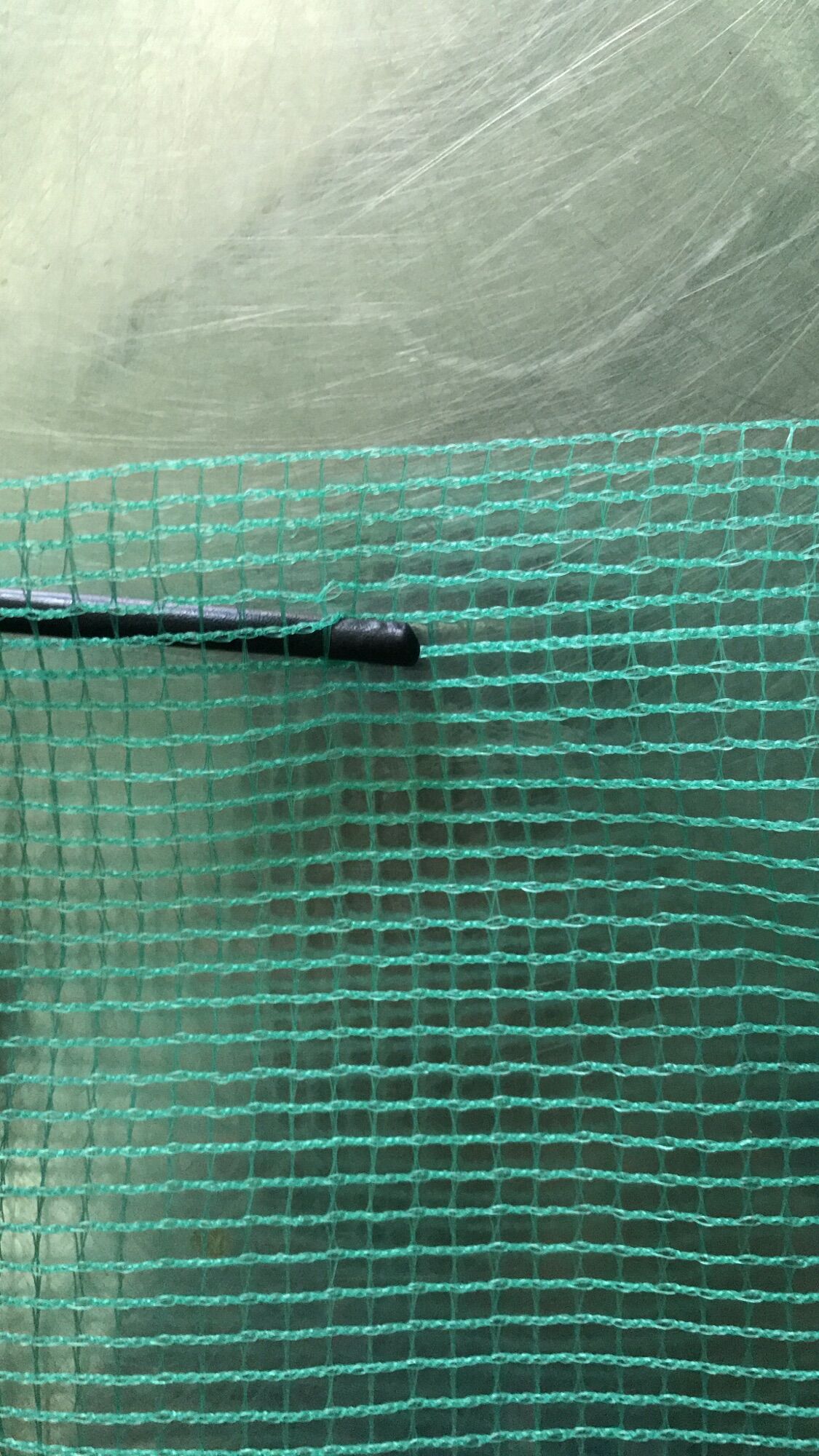 Mùng nuôi ếch 🐸  cá 1.5M x 2M x 1.5M CÓ NẮP
