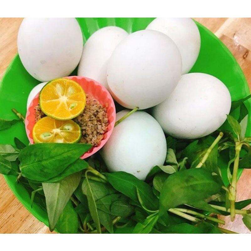 10 trứng vịt lộn con nhỏ vừa ăn tặng kèm muối rau răm