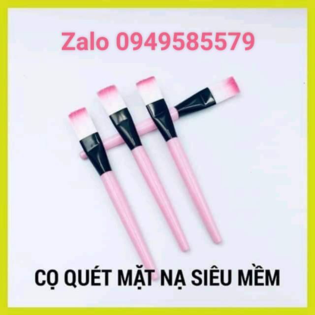 100 CỌ QUÉT MẶT NẠ CÁN HỒNG