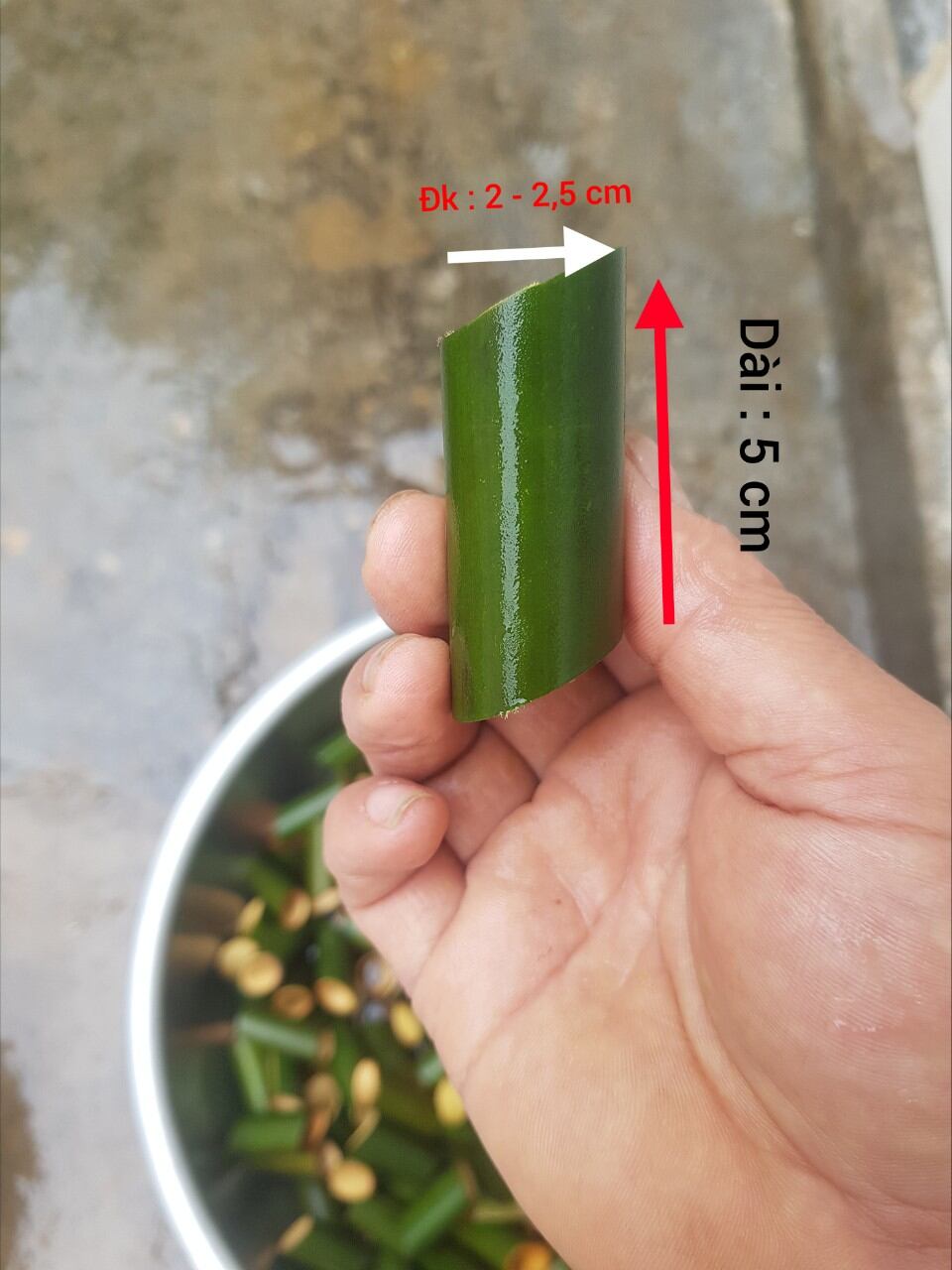 100 Ống nứa nhồi Chả Ốc dài 5cm, đường kính 2,2 - 2,5cm