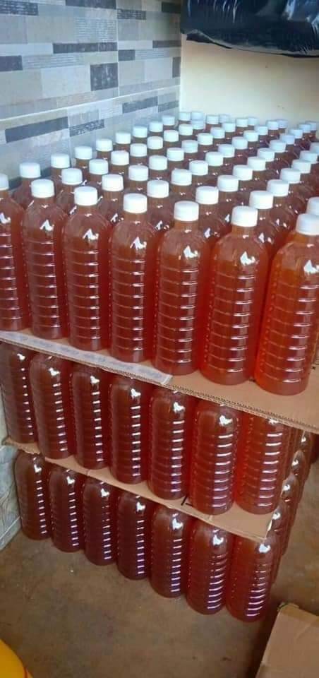 [FREESHIP,, MẬT ONG NGUYÊN CHẤT 100%] Mật Ong Hoa Cà Phê Đaklak (1lit)