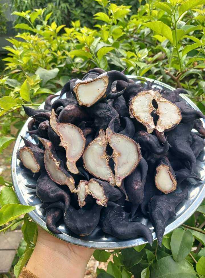 1 kg củ ấu còn sống về khách tự luộc