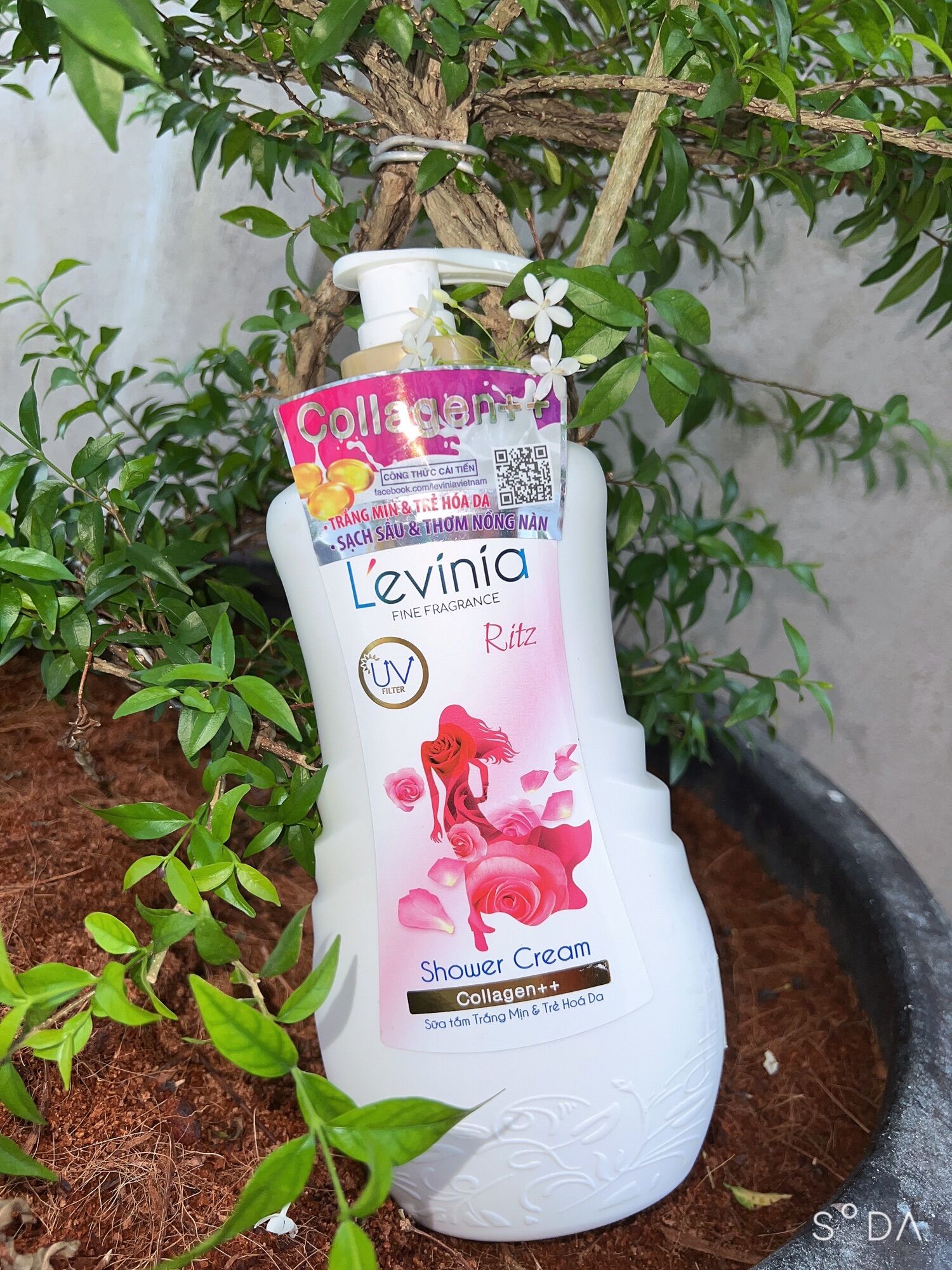 Sữa tắm levinia trắng da dưỡng ẩm - sữa tắm trắng da chống nắng 650g