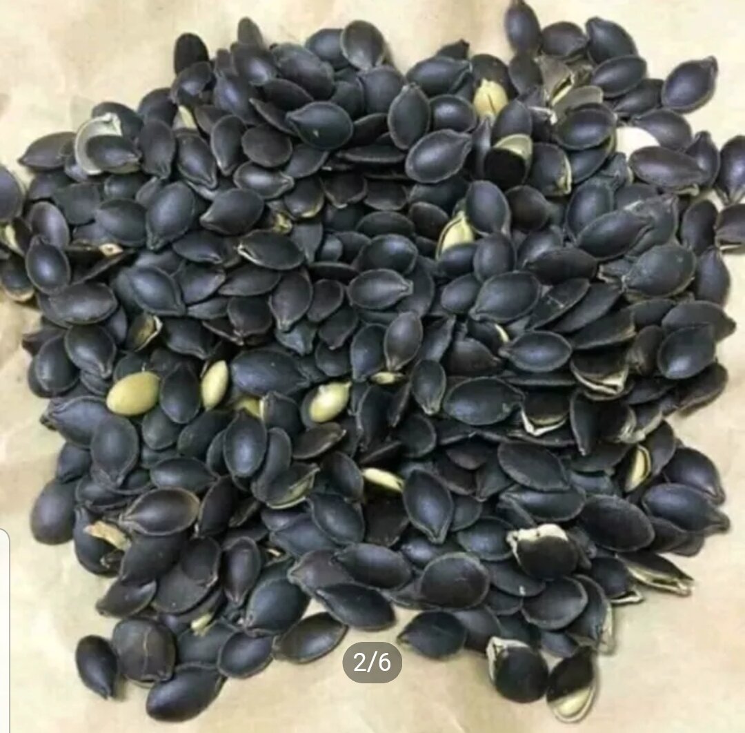 500g hạt bí mèo đen