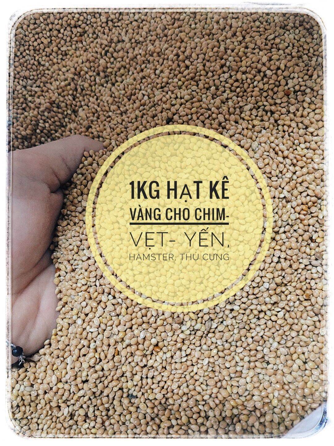1kg kê hạt- thức ăn cho hamster, vẹt, chim, thú cưng..