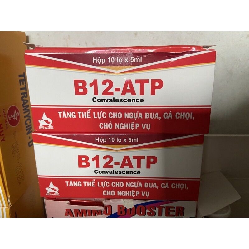 B12 Atp tăng lực, tăng cơ, đõ dai, bền sức, sung căng gà đá lọ 5ml