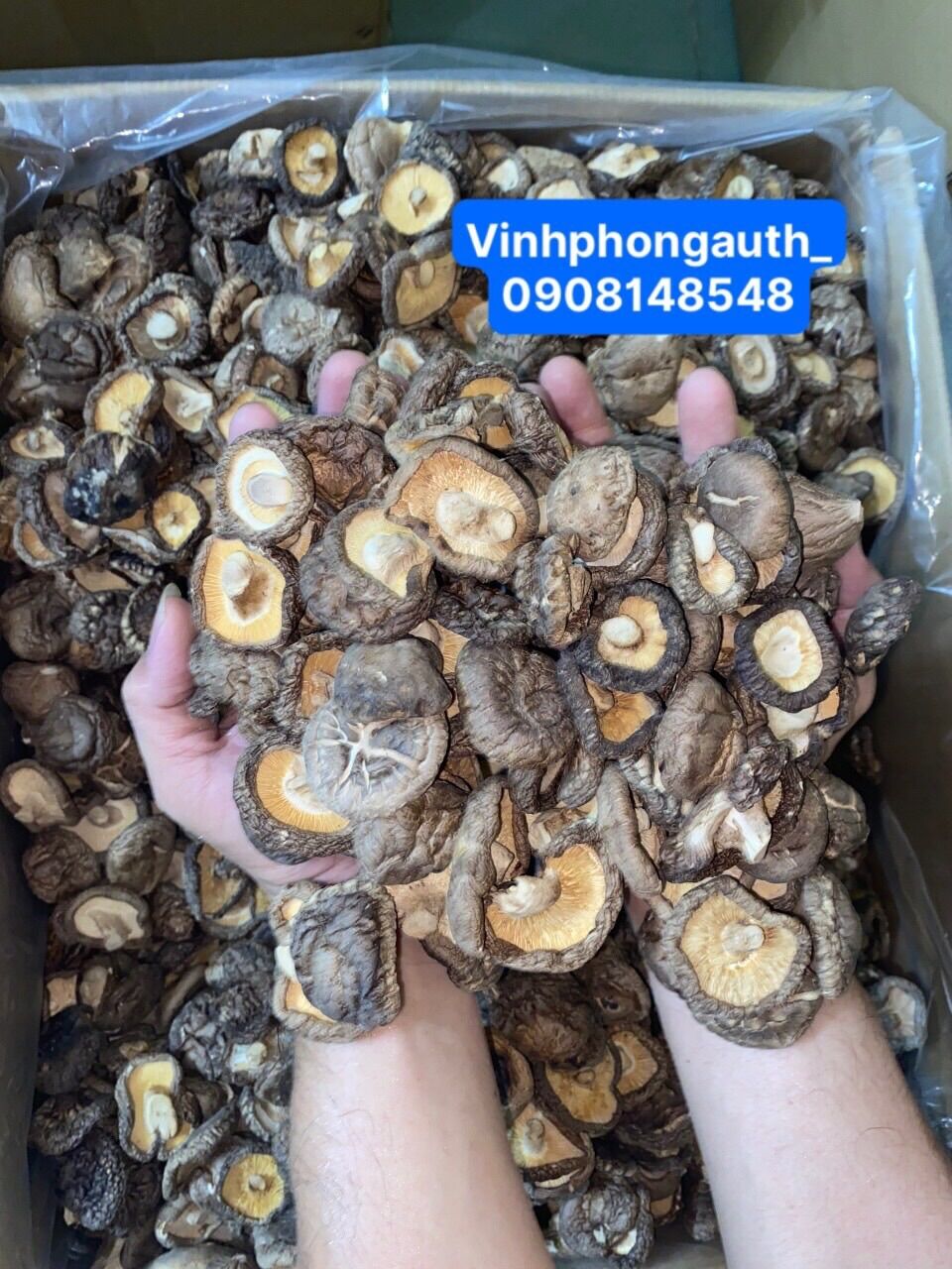 Nấm đông cô 100gr