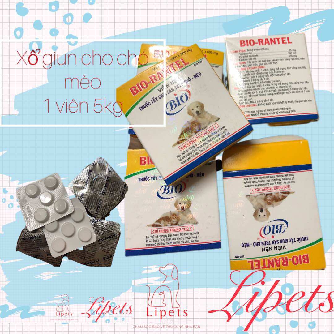 Một Viên nhai xổ giun cho chó mèo bio rantel