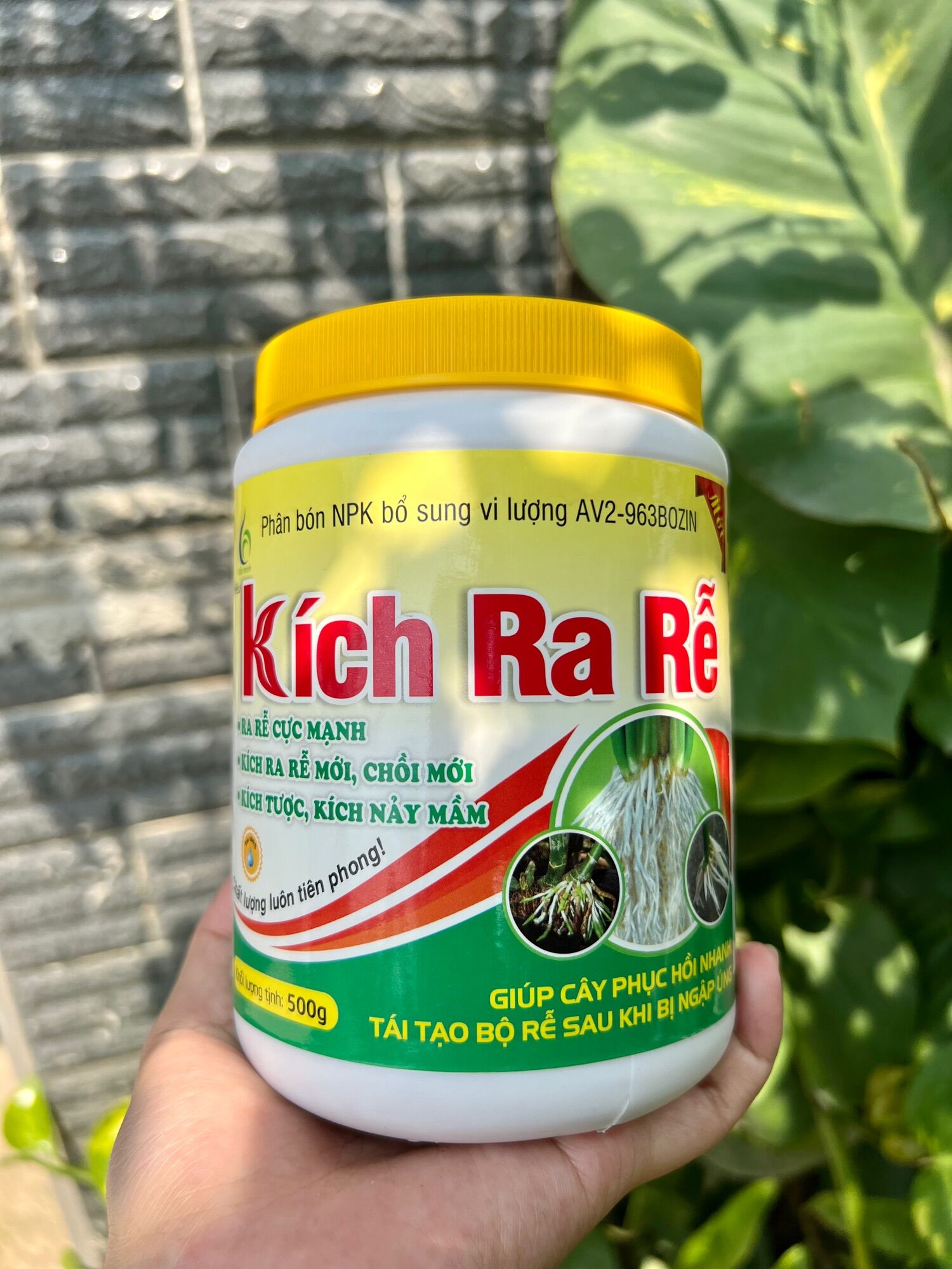 Kích ra rễ bmfe ra rễ cực mạnh, kích ra rễ mới chồi mới, kích tược, kích nảy mầm
