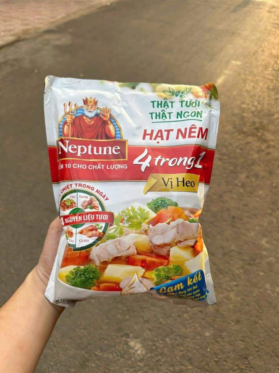 Hạt nêm Neptune vị heo 850g