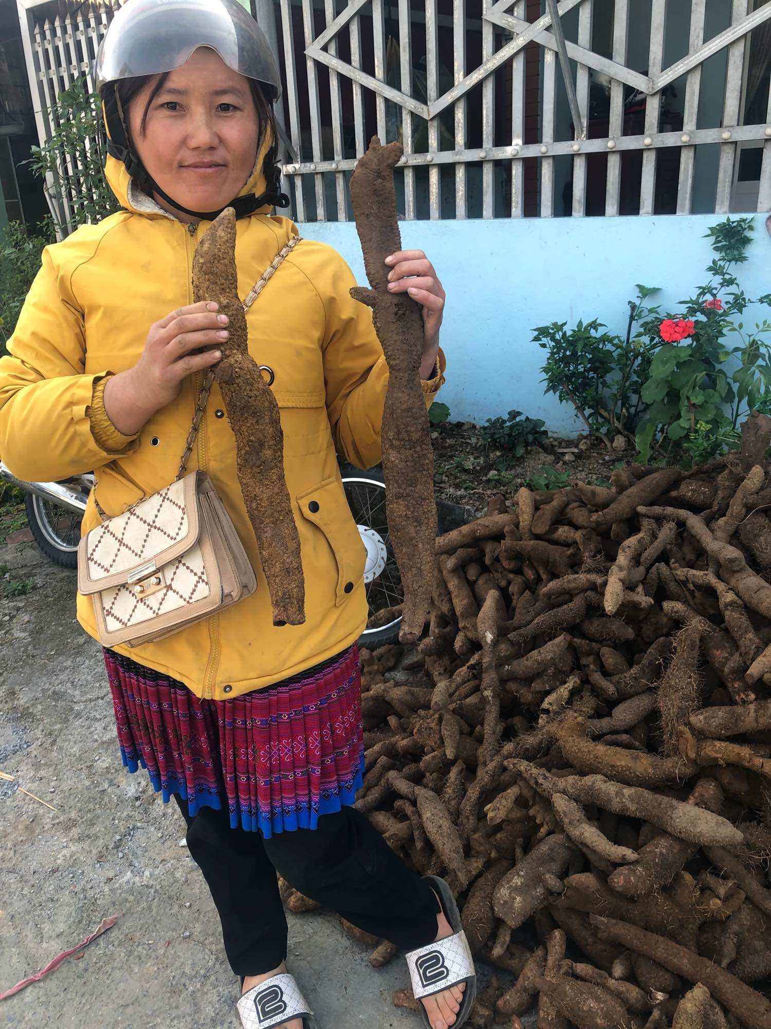 Nhục thung dung nam 200k/5kg
