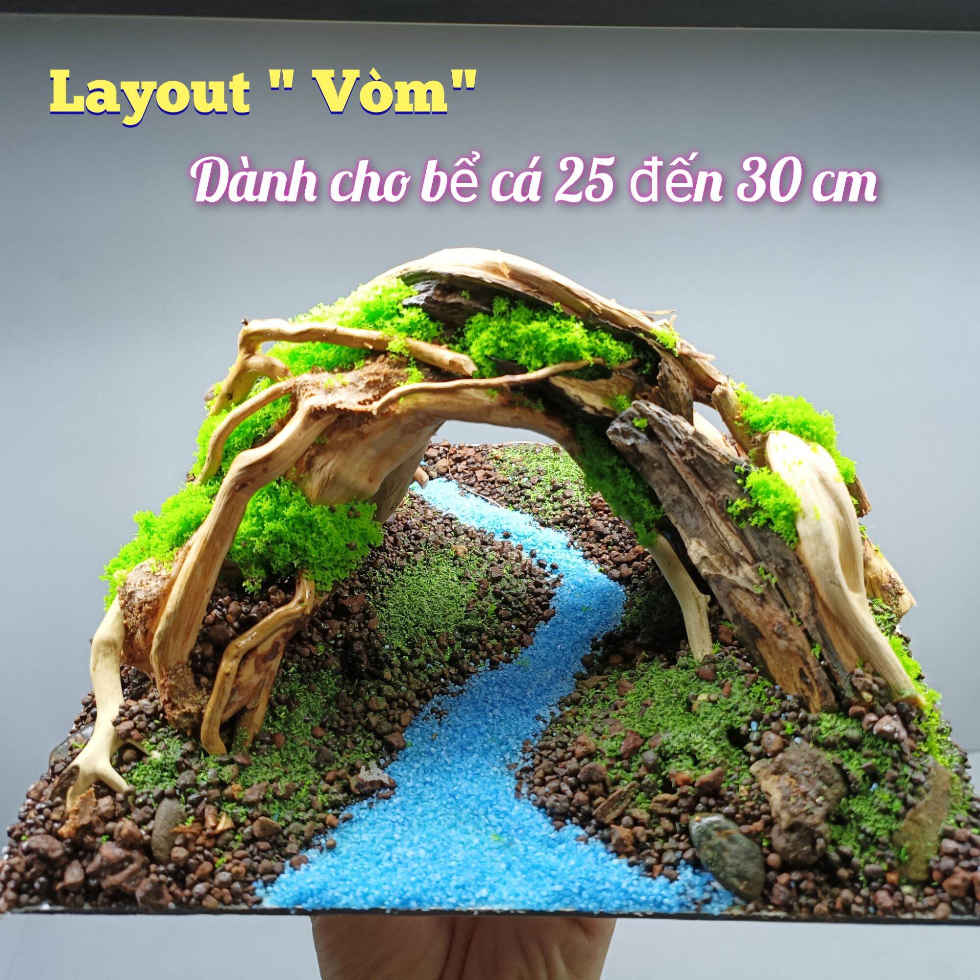Layout Vòm dành cho bể cá cảnh, bể thủy sinh. Lũa Sa Quỳ gắn trên tấm Alu
