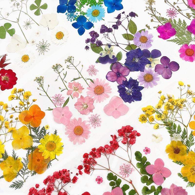 Nhiều mẫu hoa ép khô đính mặt makeup nhiều tone