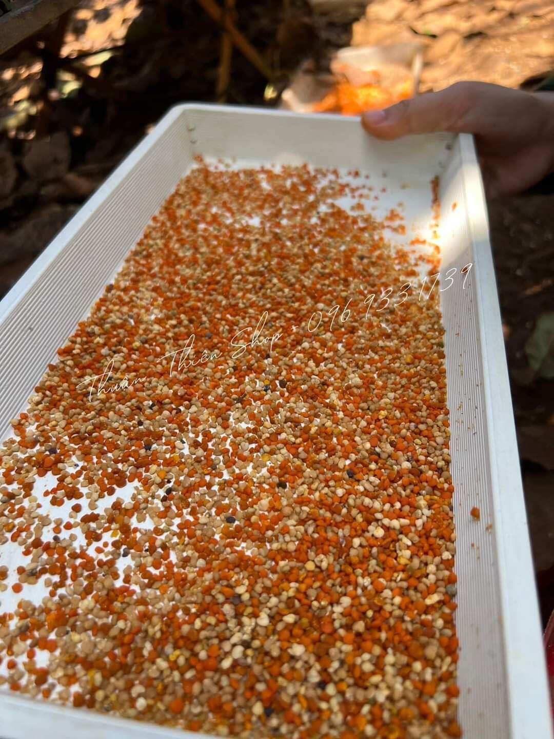 Mặt Nạ Tỏi Đen Phấn Hoa