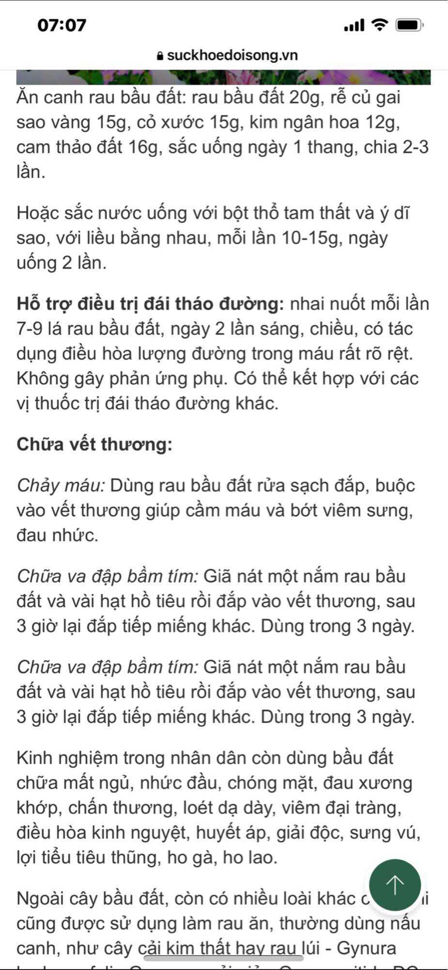 Chậu cây rau bầu đất