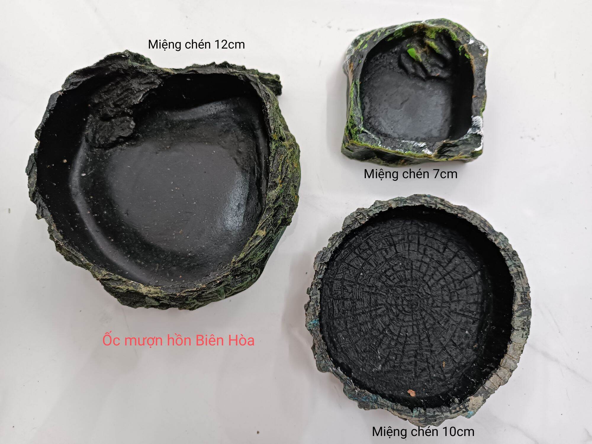 Chén ăn cho bò sát. Ốc mượn hồn Biên Hòa