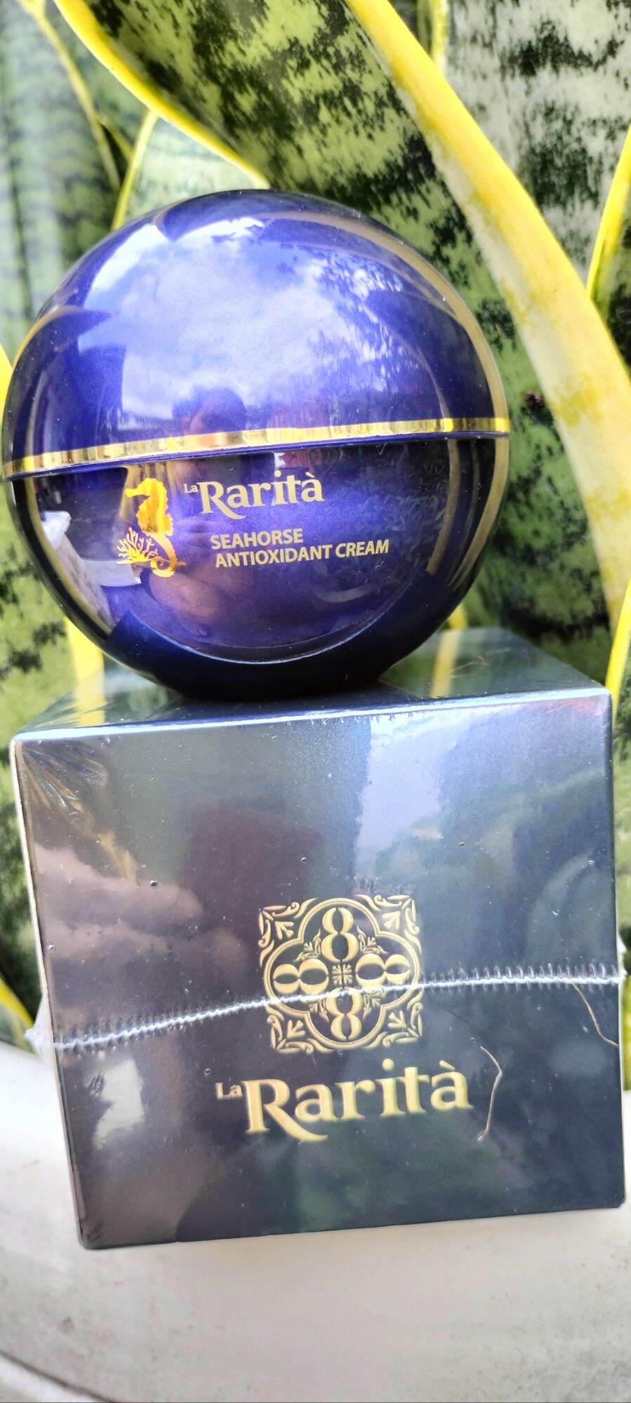 Kem cá ngựa Rarita