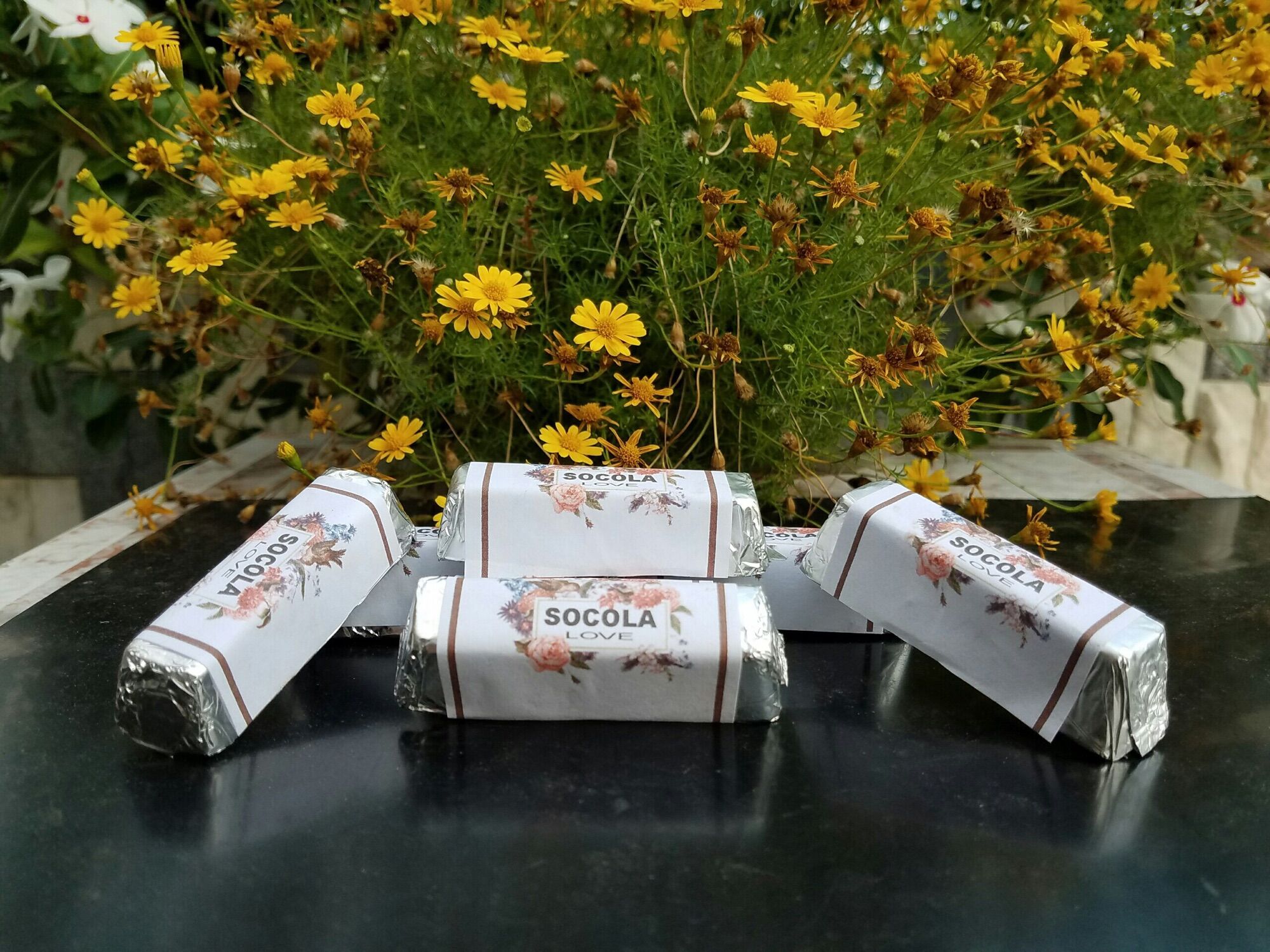 Túi - Sô - Cô - La Trường Thọ  (10 thanh * 20 gram)