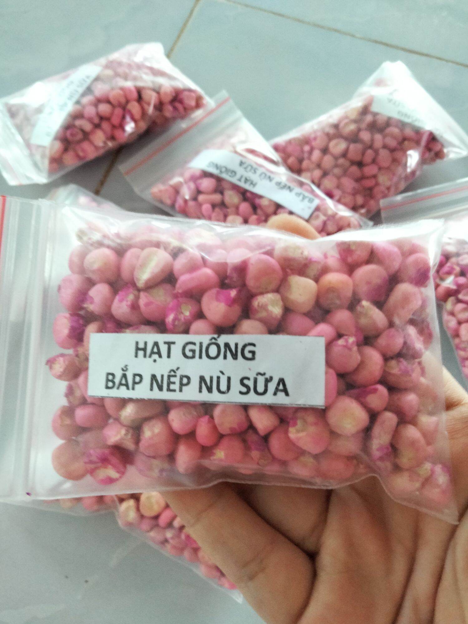 100Hạt Hạt giống bắp nếp nù sữa