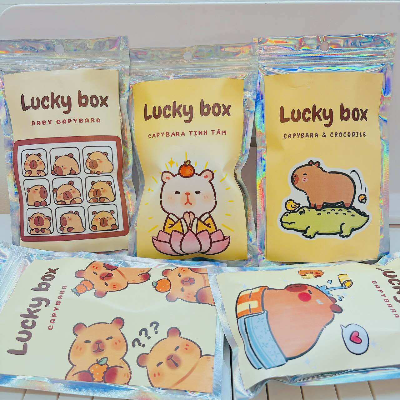 Túi capybara lucky box đồ dùng học tập ngẫu nhiên, túi quà tặng