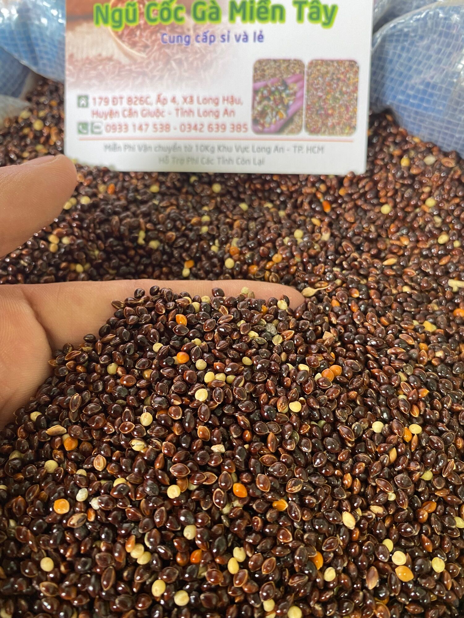 Hạt ke bong den