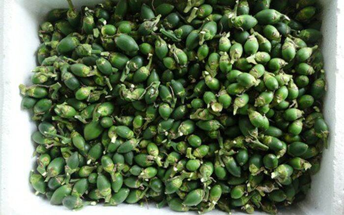 Quả cau 500g