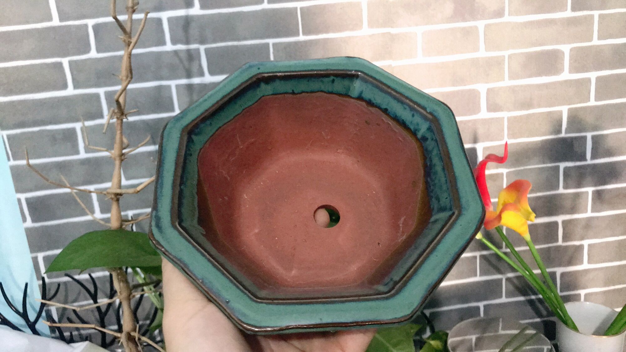 Chậu sứ bát giác men xanh