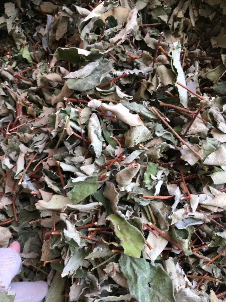 1kg Dây hà thủ ô.lá hà thủ ô phơi khô