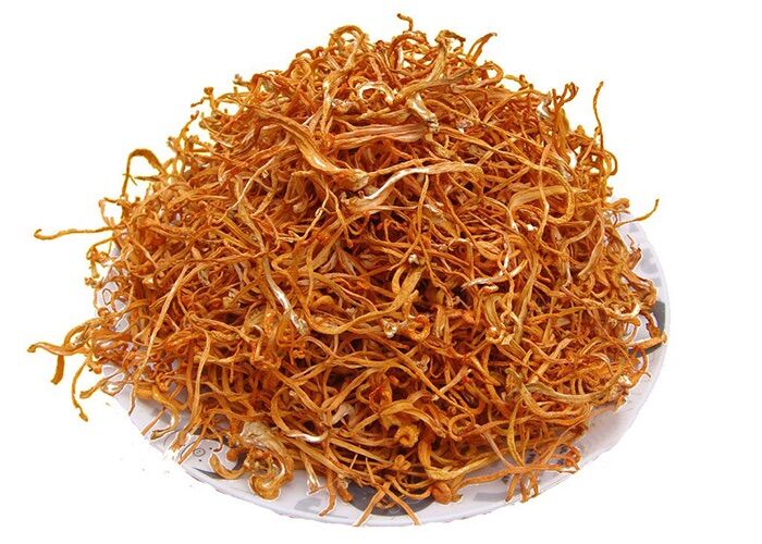 [HCM]Bông Đông Trùng Hạ Thảo khô - Gói 100g