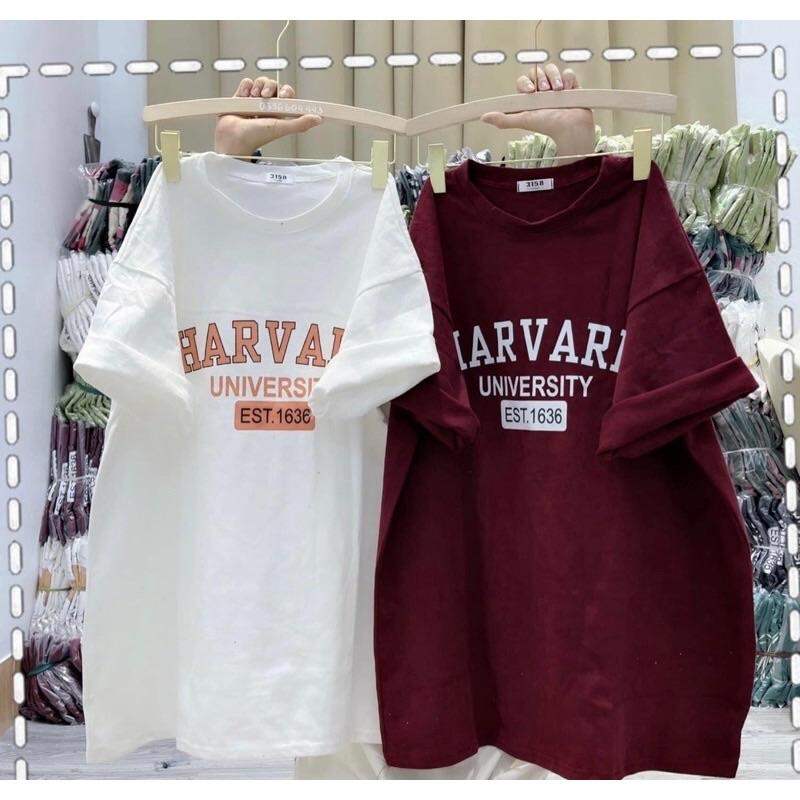 Áo Thun 3158 In Chữ HARVARD Form Rộng Unisex Chất Cotton Khô Loại 1, Thoáng Mát, Thấm Hút Mồ Hôi - GUNN