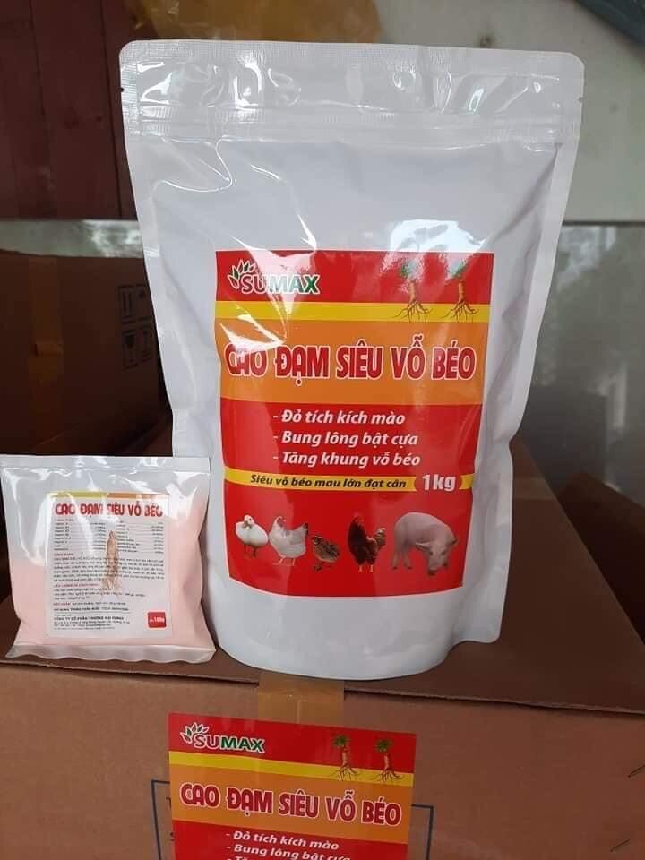 CAO ĐẠM SIÊU VỖ BÉO