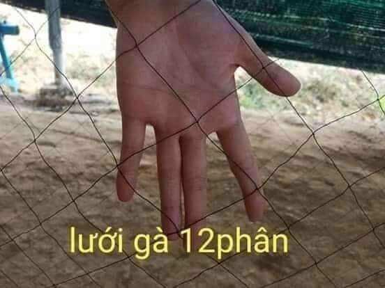 Lưới Lùa Gà Rừng ..