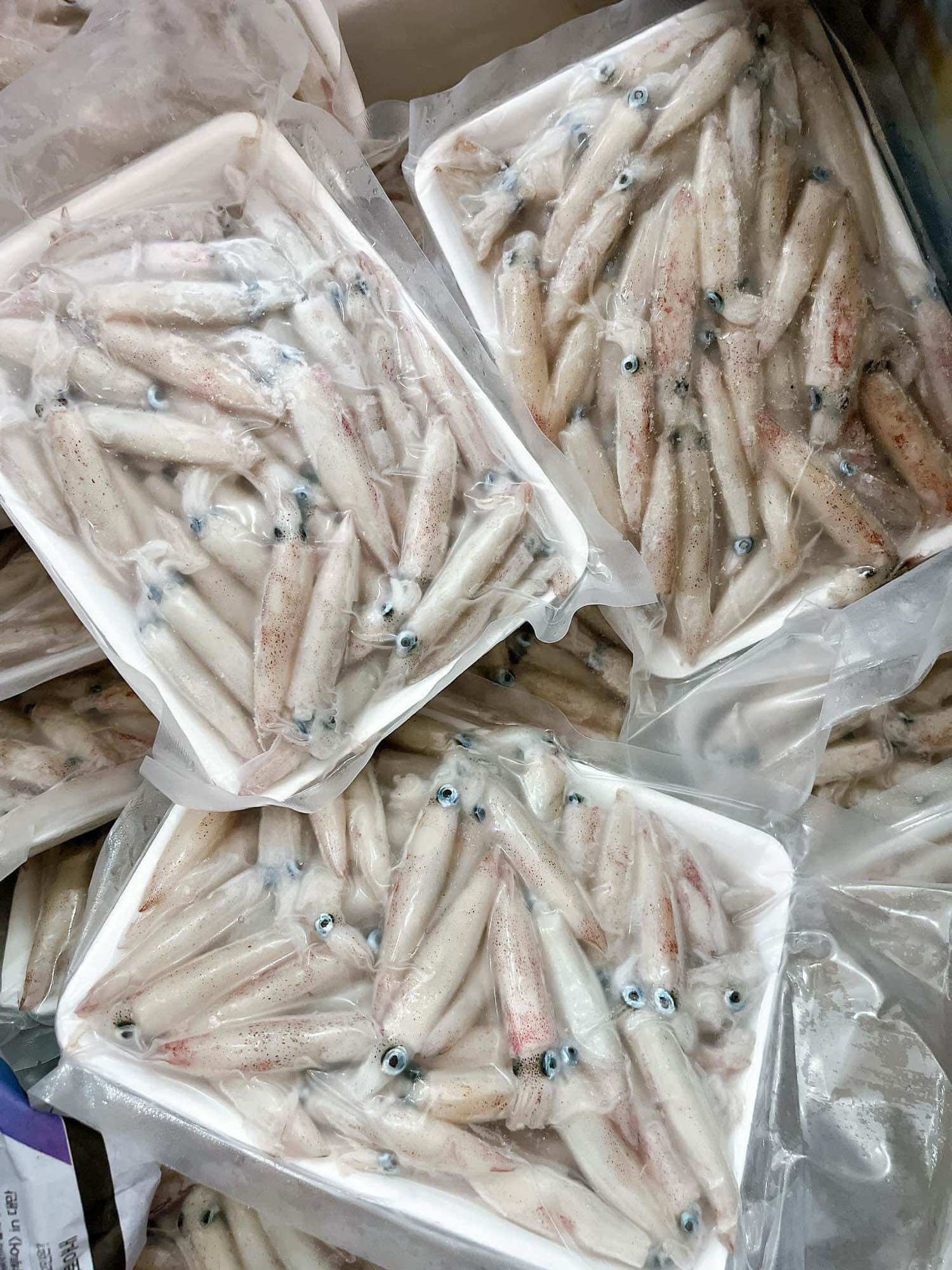 Mực sữa nháy Phan Thiết tươi ngon 500g