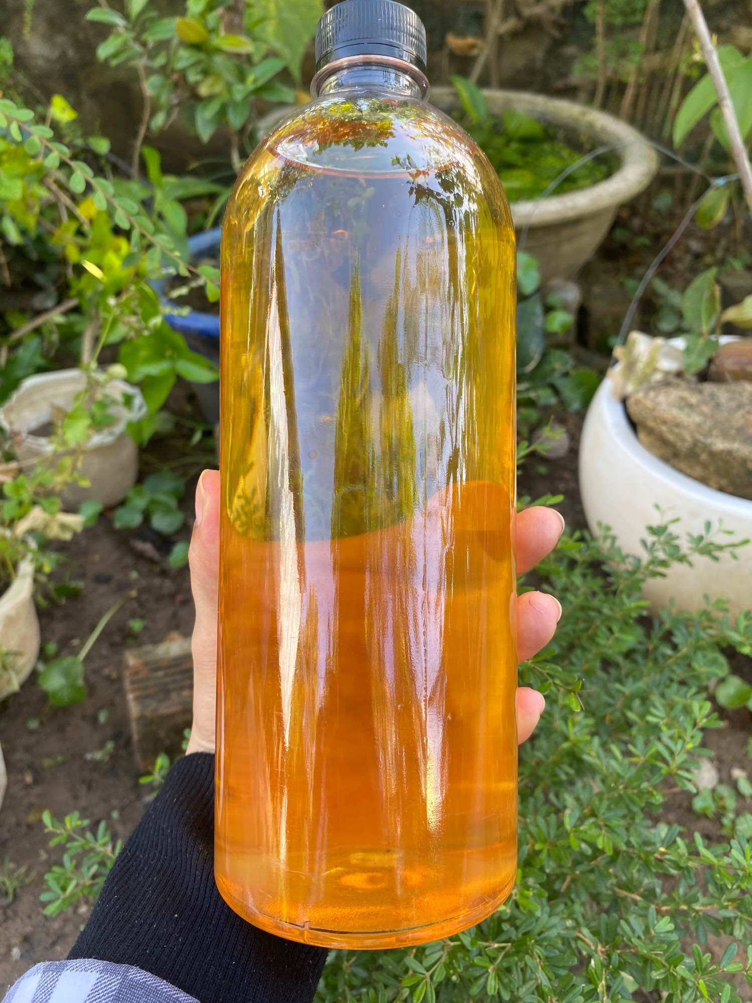 MỠ TRĂN TRIỆT LÔNG  NGUYÊN CHẤT 100%_1 LÍT