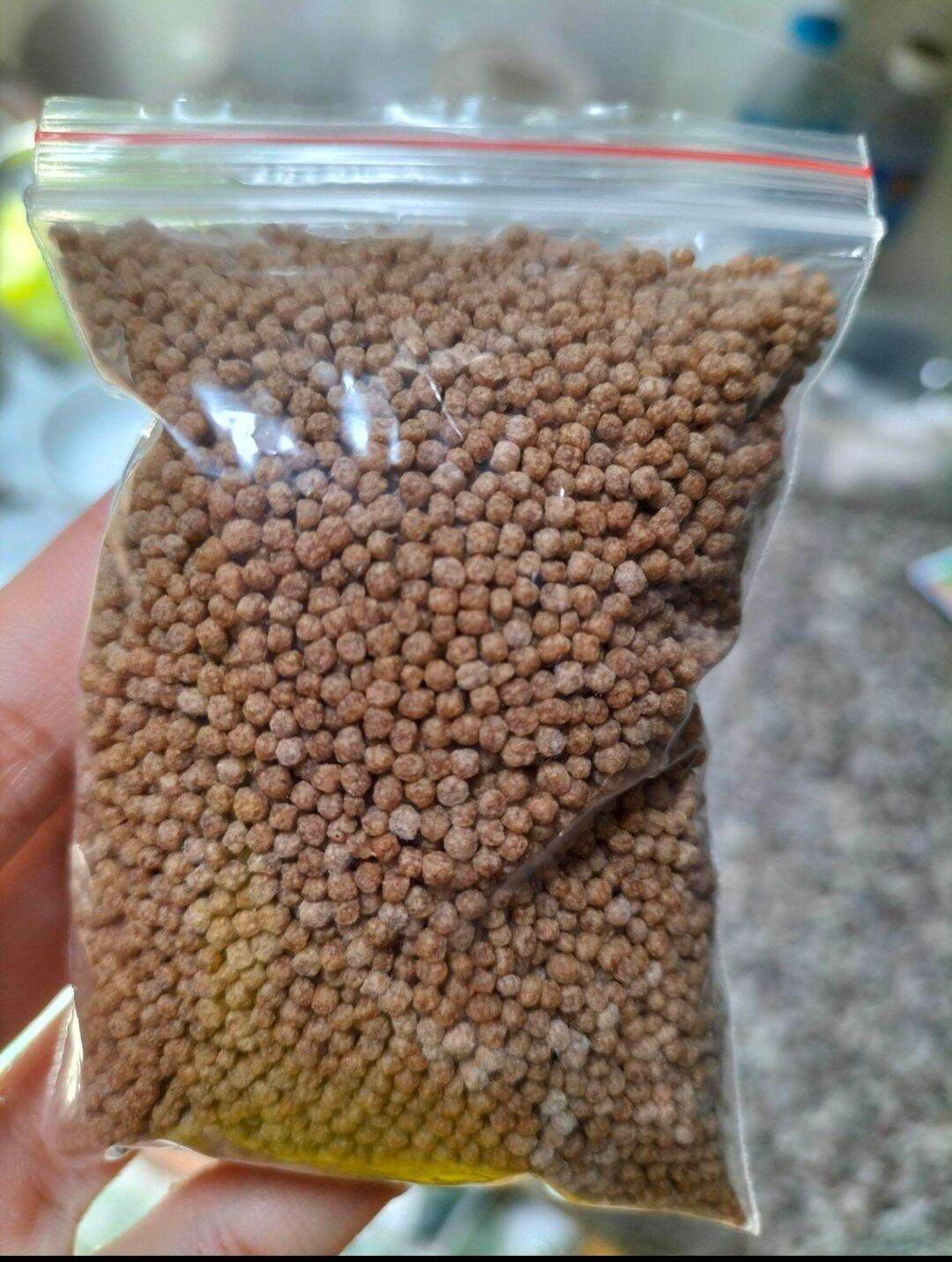 cám thức ăn cho rùa nước