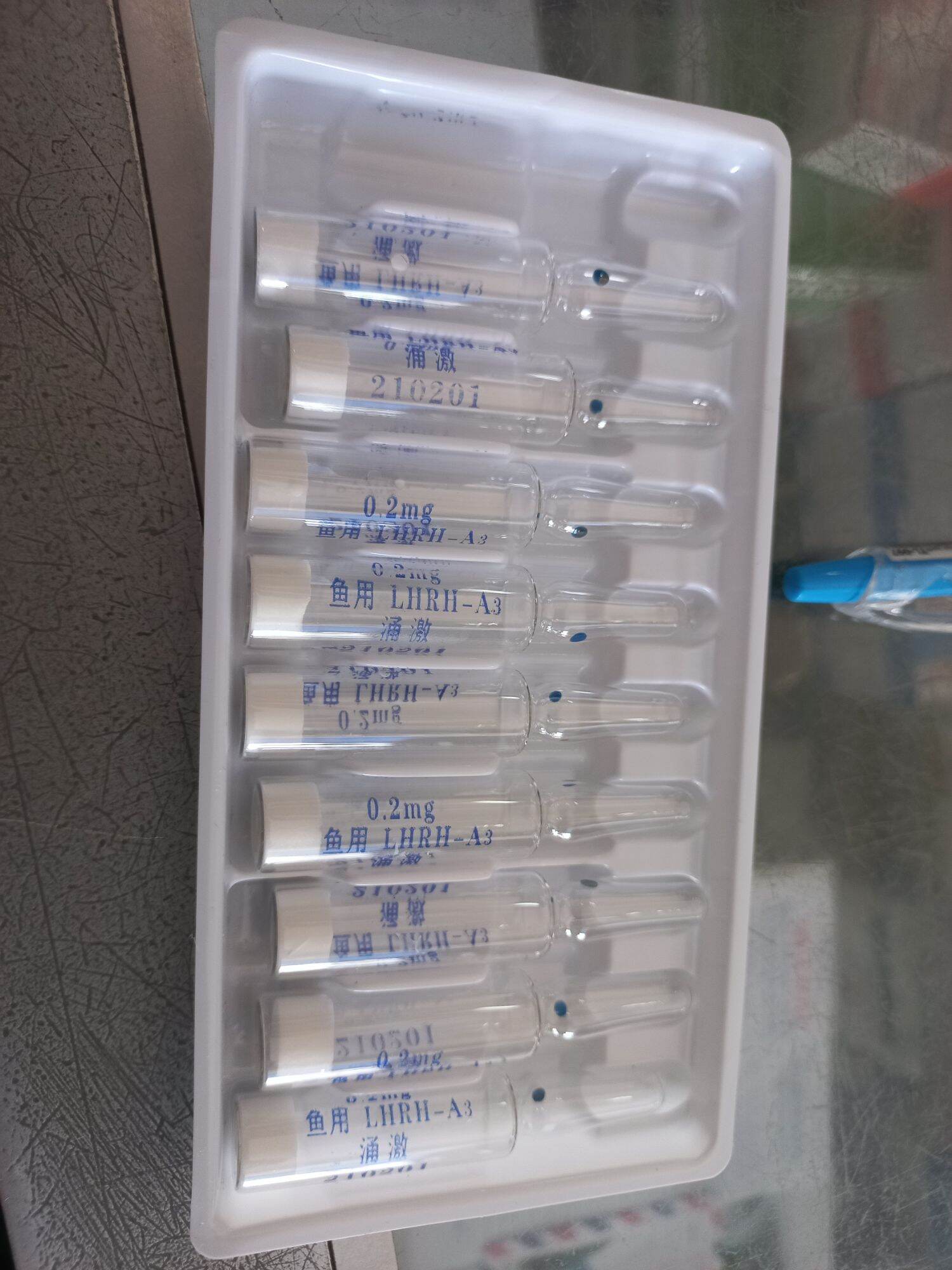 Cá đẻ nhiều.lên giống 1 ống lẻ