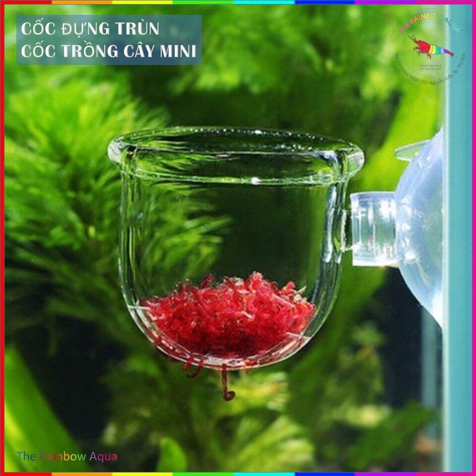 Cốc đựng trùn chỉ, cốc mica trồng cây mini.