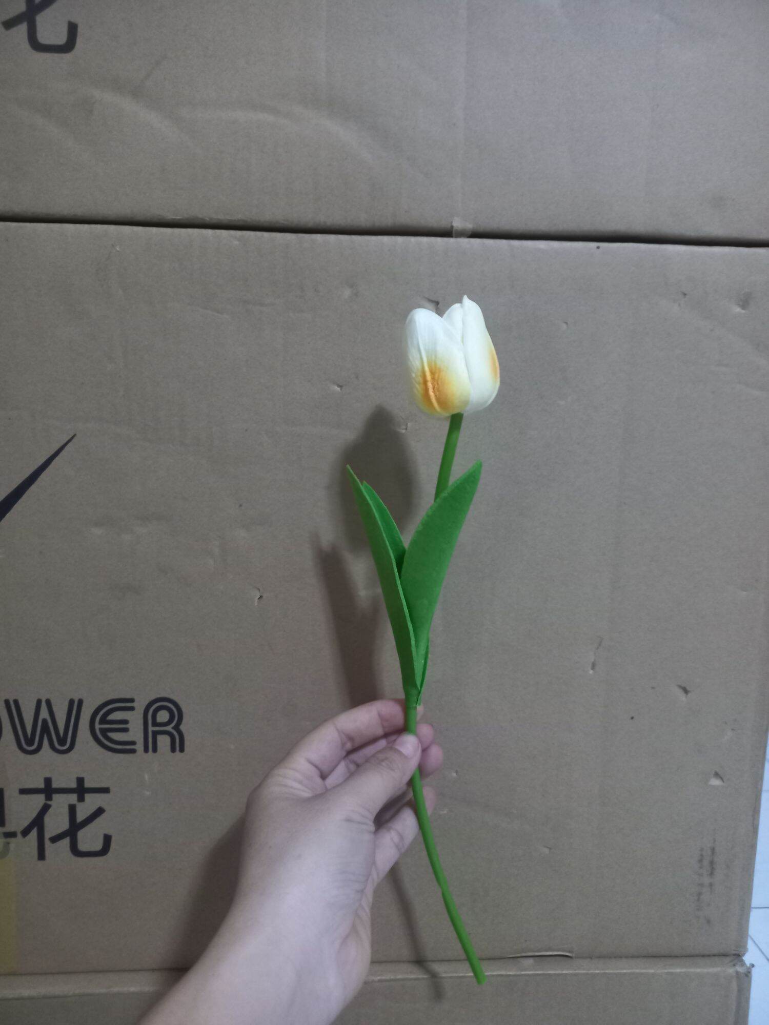 Hoa tulip cao su