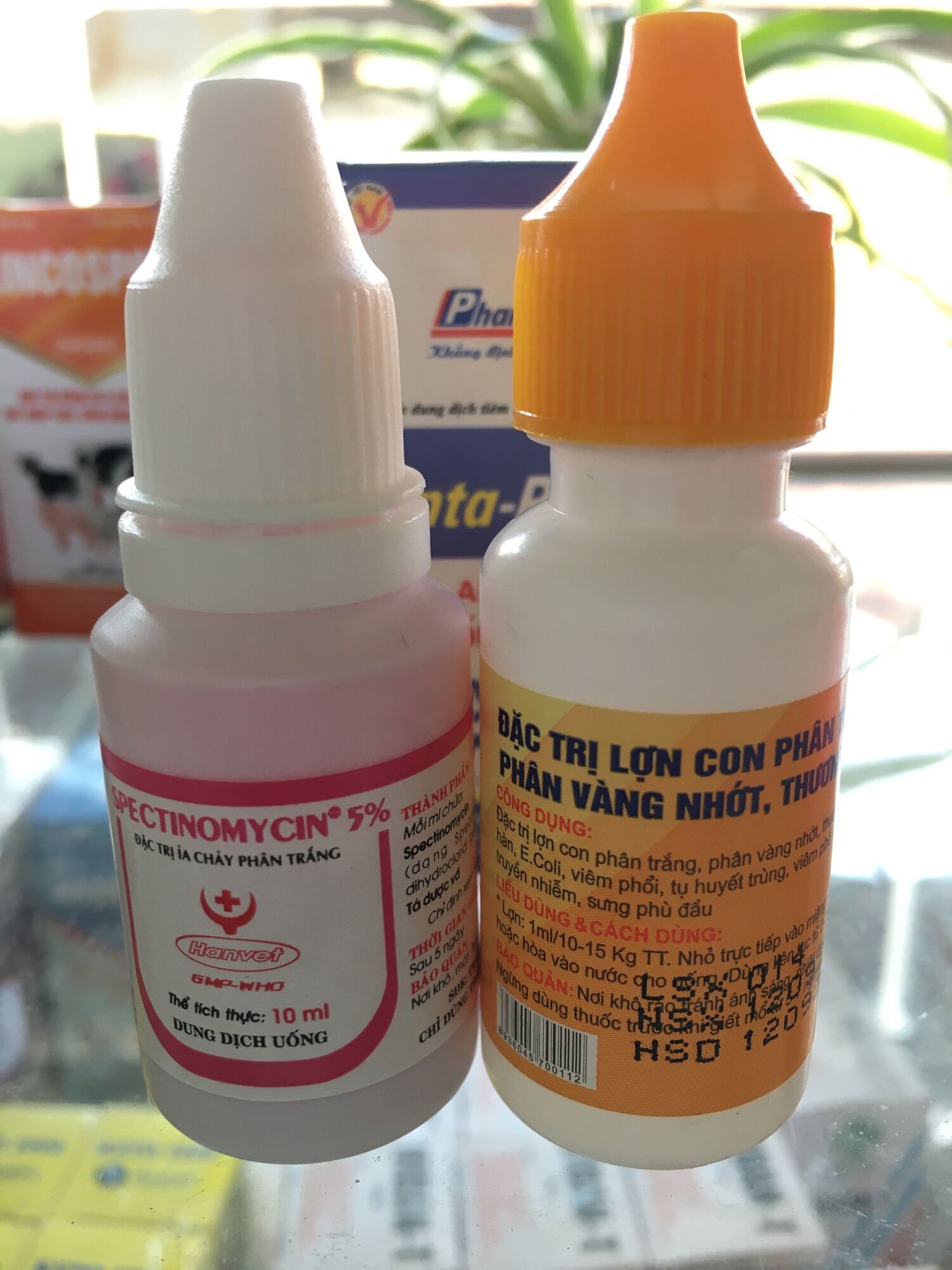 Cặp nhỏ tiêu chảy heo con cực hiệu quả