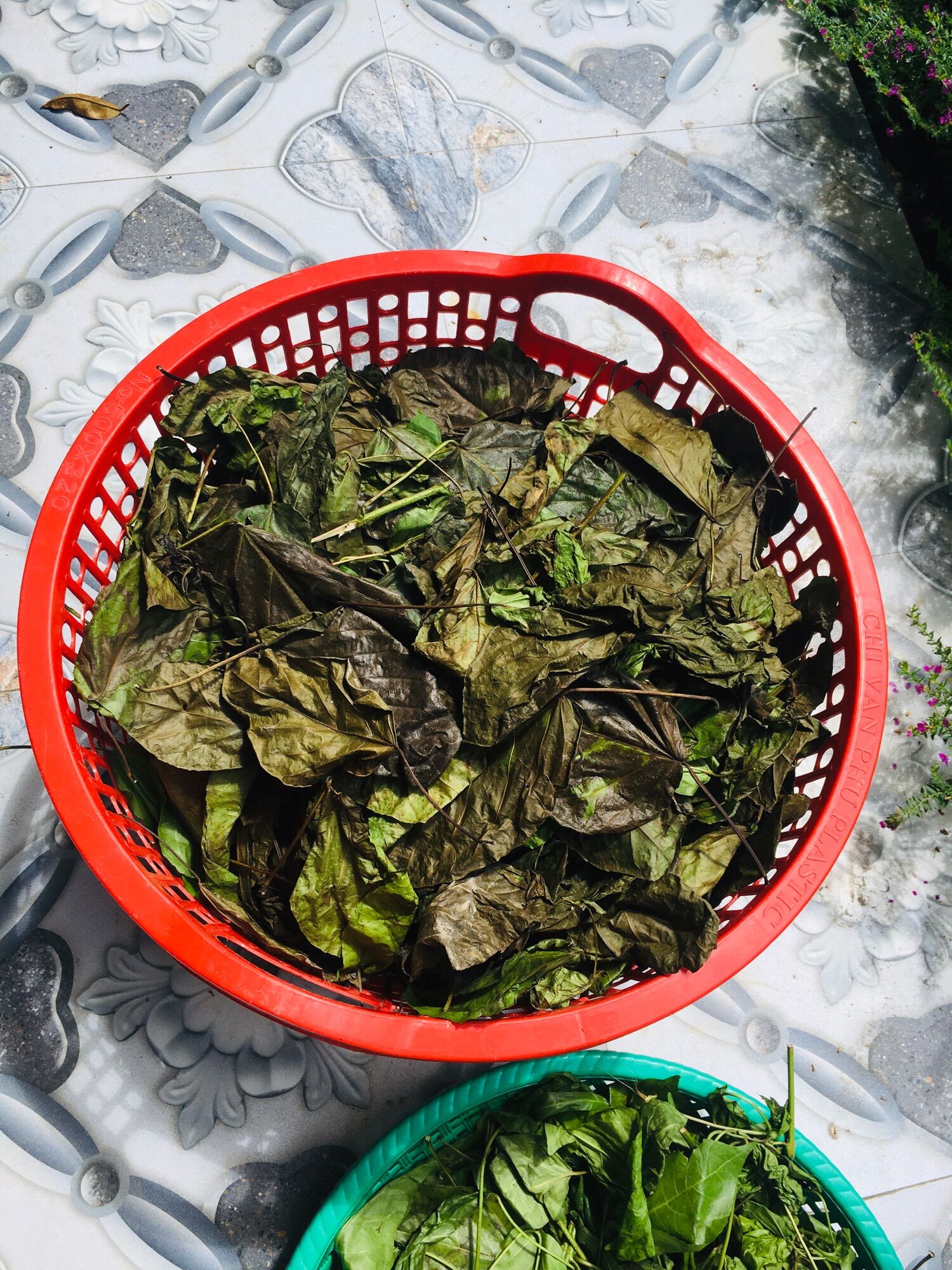 2kg lá cách phơi khô cả thân và lá