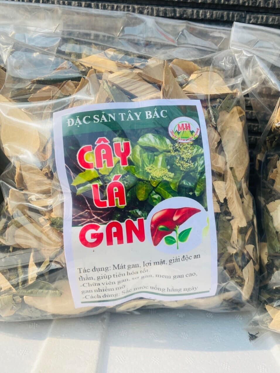 Dược liệu Tây Bắc: Cây lá gan