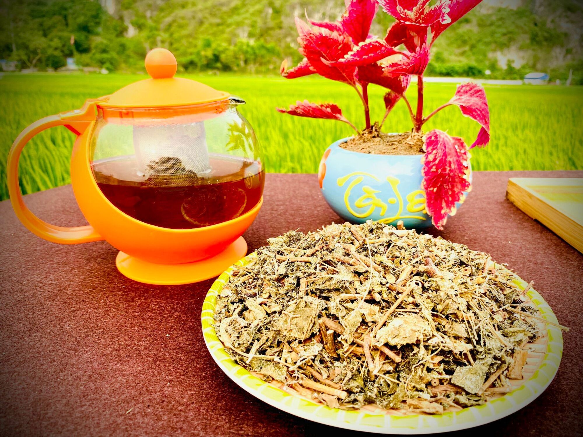 CHÈ DÂY CAO BẰNG - LOẠI ĐẸP 1KG