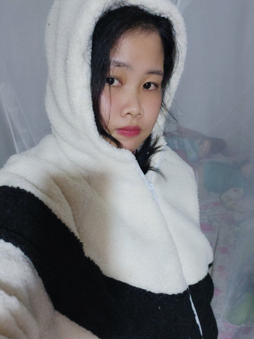 Vải lông cừu xuất Hàn dư