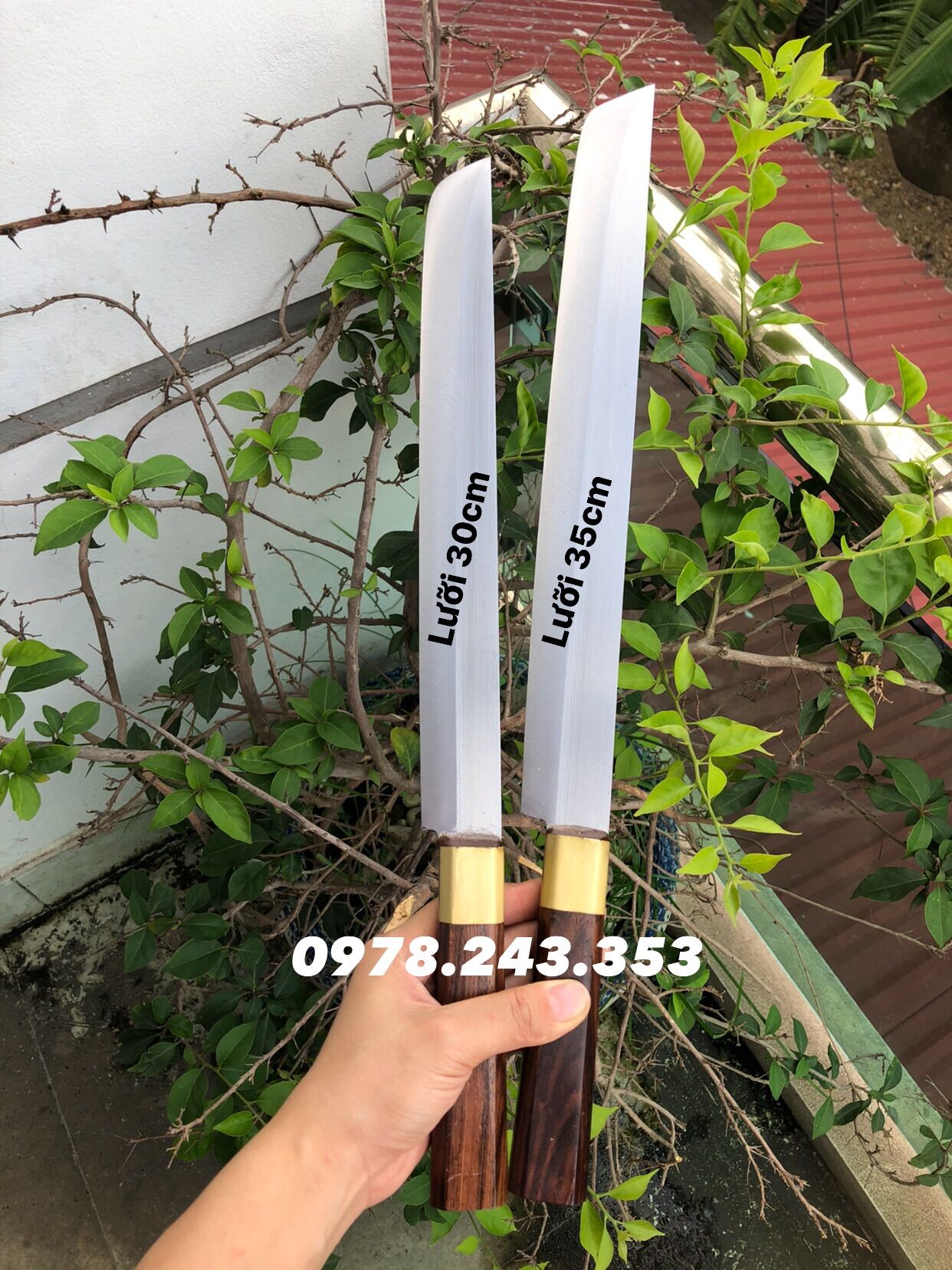 Dao sashimi thái lát cá - cắt bánh mì thép trắng nhật ko gỉ sắc bén sạch sẽ